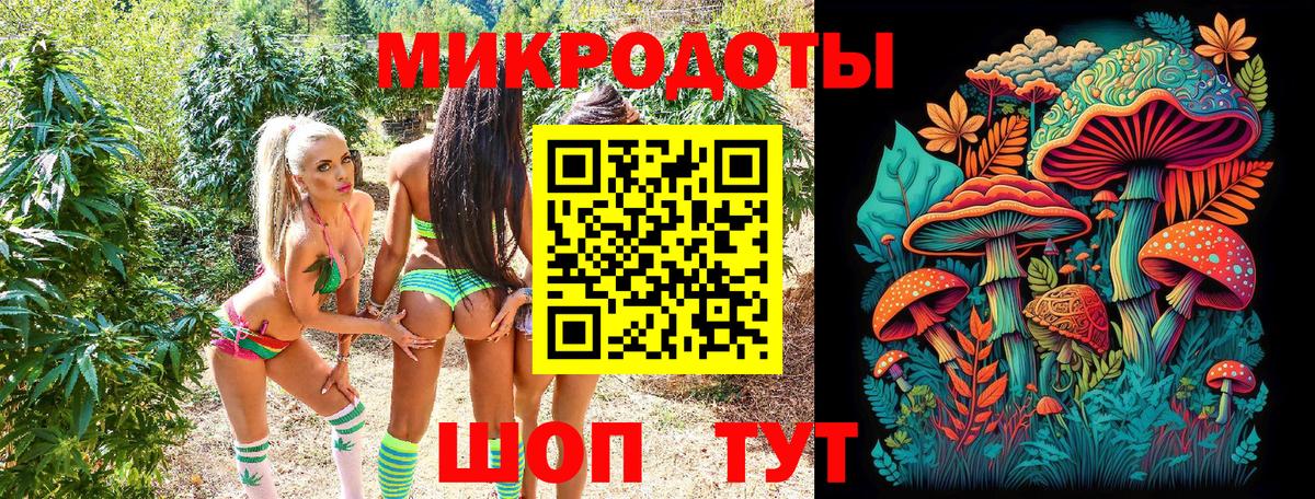Псилоцибиновые грибы Psilocybe Ялуторовск